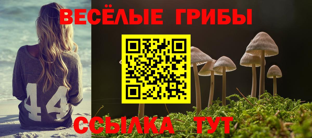 Псилоцибиновые грибы ЛСД Североморск
